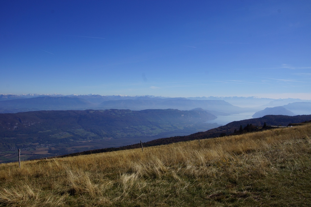 le-grand-colombier