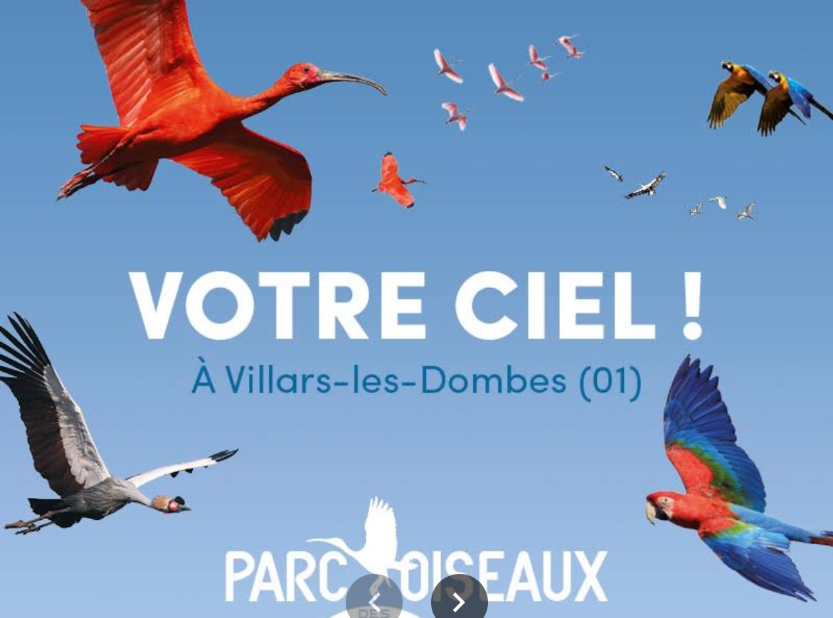 parc-des-oiseaux-villars-les-dombes